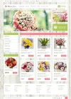 47588-opencart-b.webp
