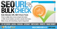 bulkcheckseo-large.webp