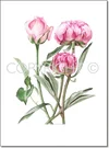 1612845266375.webp