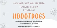 1613194925501.webp