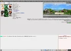 8.webp