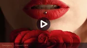 1624558388847.webp