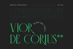 1624552119245.webp