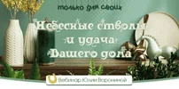 1625159512992.webp