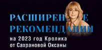 1678068663257.webp