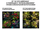 1682184849701.webp