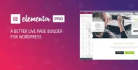 elementor-pro.webp elementor-pro.webp