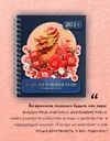 1705850233197.webp