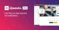elementor-pro.webp