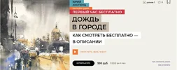 1713623219147.webp