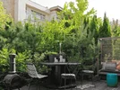 1715605252731.webp