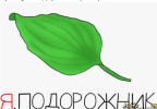 1717866596067.png 1717866596067.png