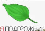 1717866596067.webp 1717866596067.webp