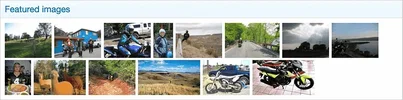 1707575881215.webp 1707575881215.webp