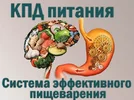 1740058064420.webp