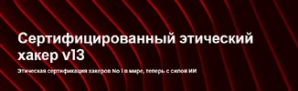 1755112116279.webp