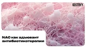 1778833850443.webp