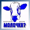 1780764384712.webp
