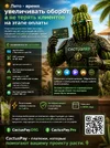 Cactus-Summer.webp