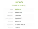 оплата vipgold.webp
