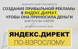 директ.webp