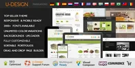 udesign.webp
