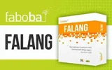 1495780429_falang.webp