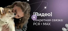 1788759952430.webp 1788759952430.webp