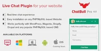 1503635773_chatbull.webp