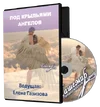 pod-krylyami-angelov.webp
