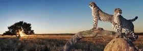 main-image-top.webp