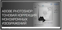 0ecf1741822b.webp