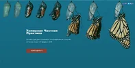 800289745462.webp