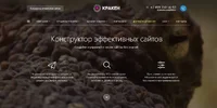 111.webp