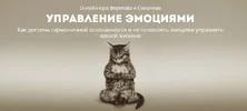 07a653e2c3fa.webp