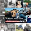 sun1_10.userapi.com_c831109_v831109400_1975bb_jaBInP6yjoI.webp