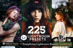 [Presetrain] 225 Lightroom Presets Bundle.webp