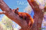 [CreativeMarket] Taiga Lr Presets (2018).webp