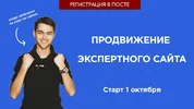 Продвижение экспертного сайта.webp