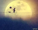 f7e6ce0dc010.webp