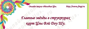 1560160484051.webp