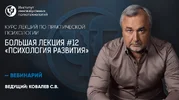 1562331952491.webp