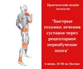 1575389534365.webp