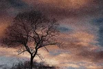 1576521232545.webp