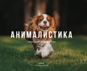 1584656675171.webp
