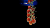 itnull.png itnull.png