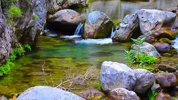 1604018257738.webp