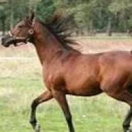 sdfsdfsdfsdfsdfsdf6756756