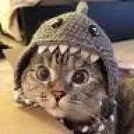 KatzenAufPanzer