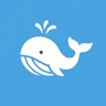 Motion_whale